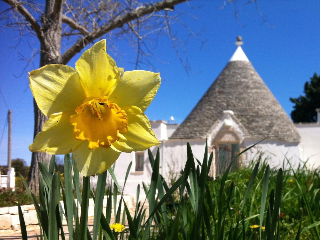 Apartmán I Giardini Di Pomona Cisternino Exteriér fotografie